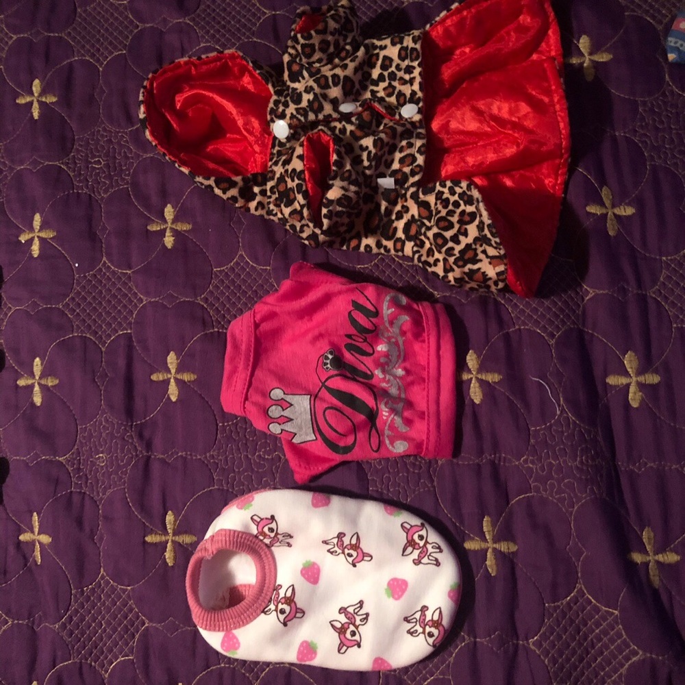 XS puppy clothes